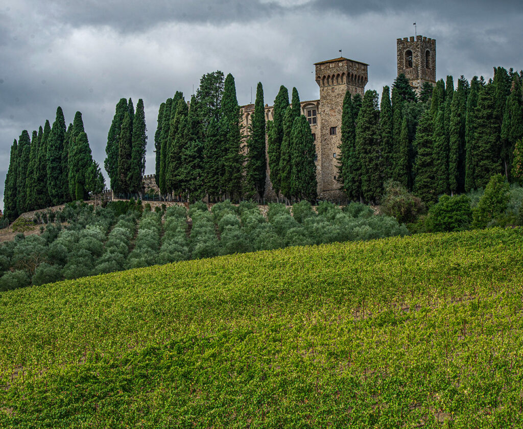 Vinattieri 1385 Badia A Passignano Vineyards