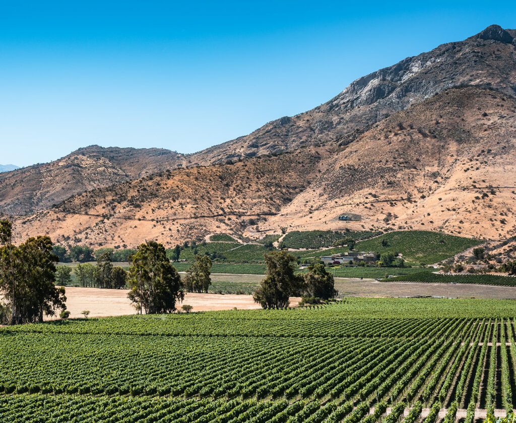 Vinattieri 1385 Haras De Pirque Vineyards