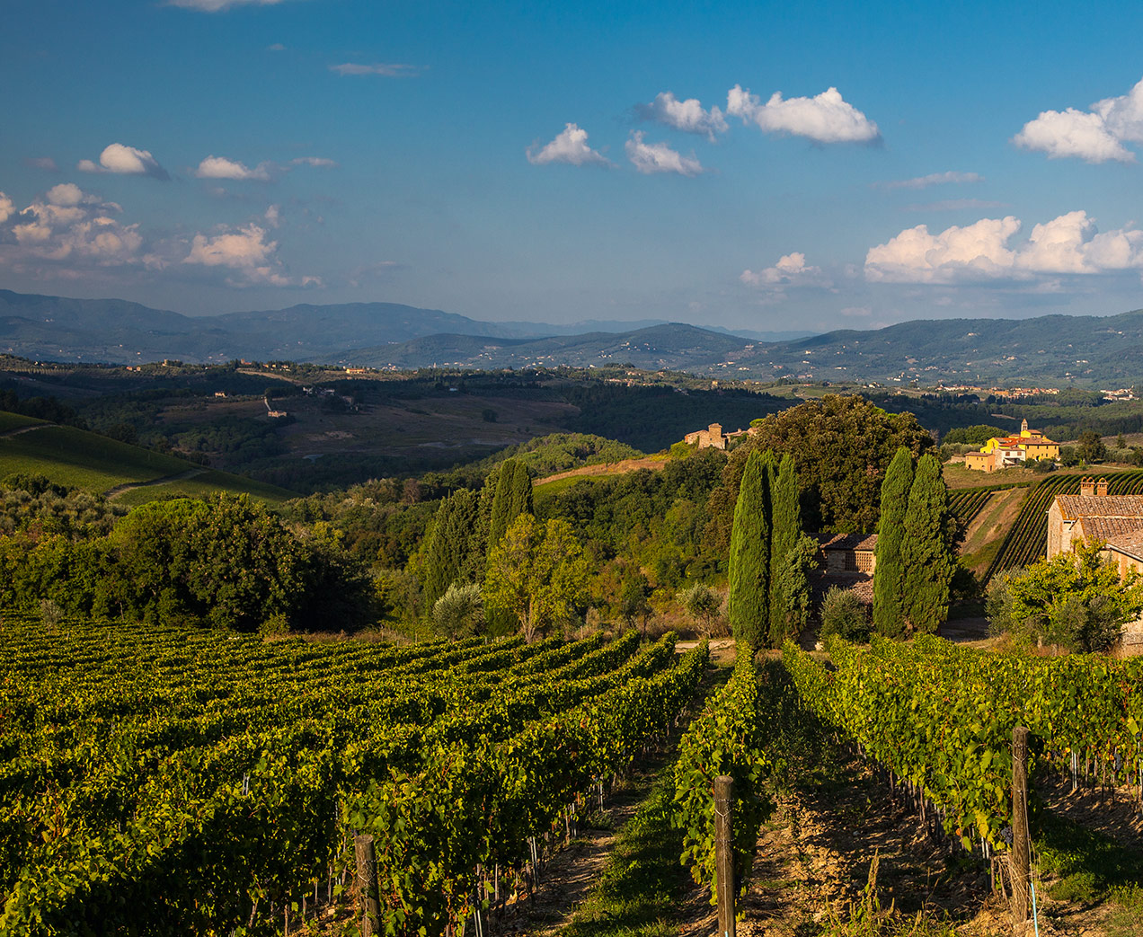 Vinattieri 1385 Peppoli Vineyards